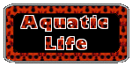 Aquatic Life