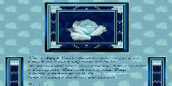 Blue Rose