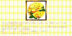 Framed Yellow Roses