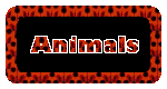 Animal Stationary